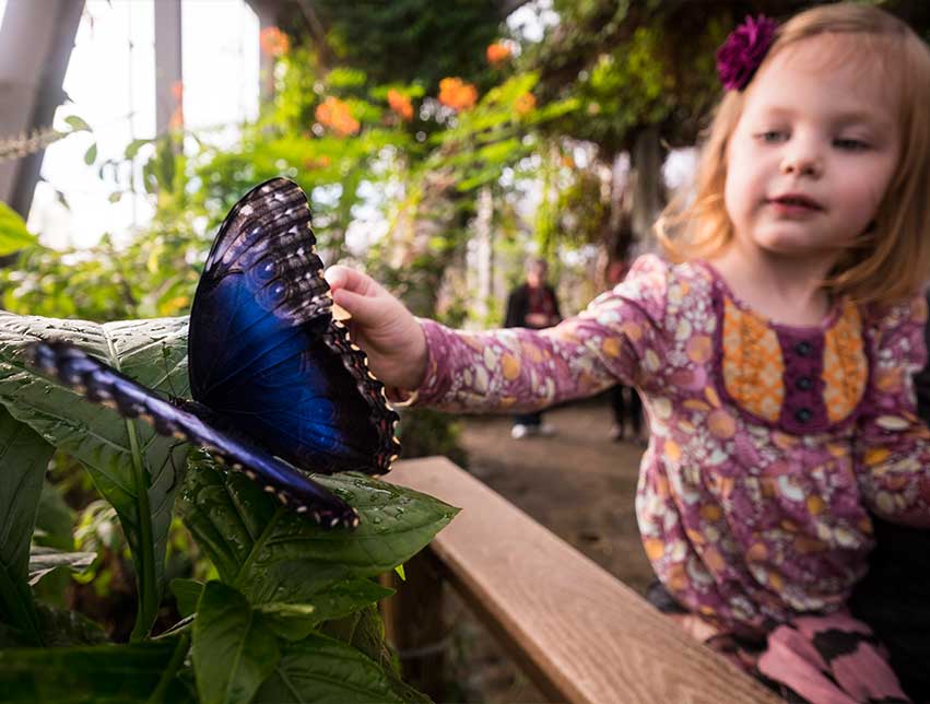 Animal Adventures At Omaha S Zoo