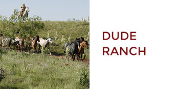 Amarillo, Texas: Dude Ranch