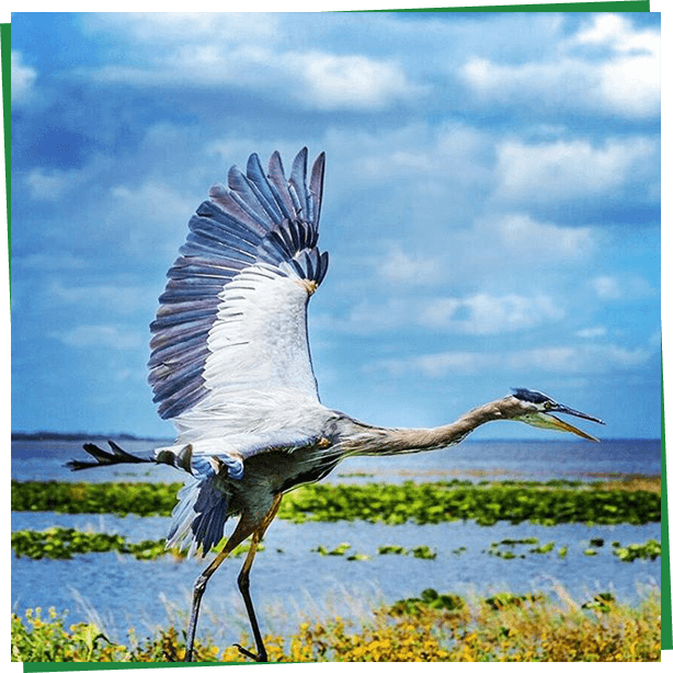 A family gets in touch with their wild side at Wild Florida