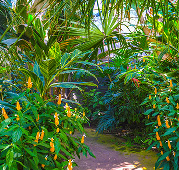 The Amarillo Botanical Gardens in Amarillo, Texas