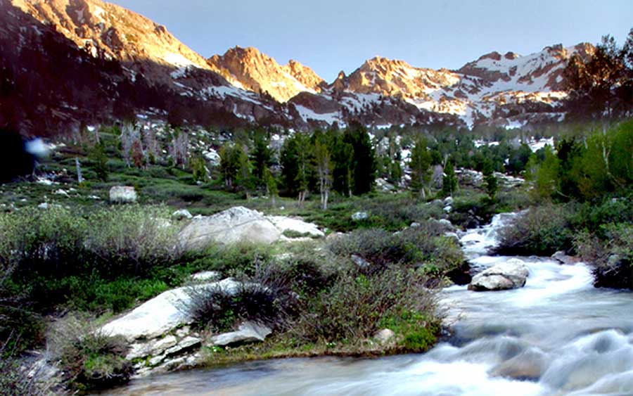 Waking up to snow in July on a Ruby Mountain backpacking excursion in