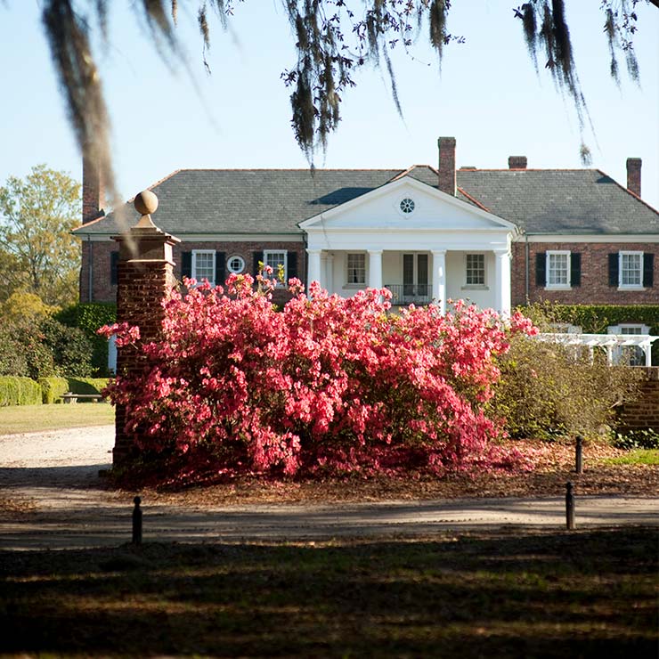 Boone Hall Plantation in Mount Pleasant, South Carolina