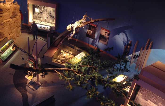 A bird's-eye view of museum exhibits at the Draper Natural History Museum at Buffalo Bill Center of the West in Cody, Wyoming