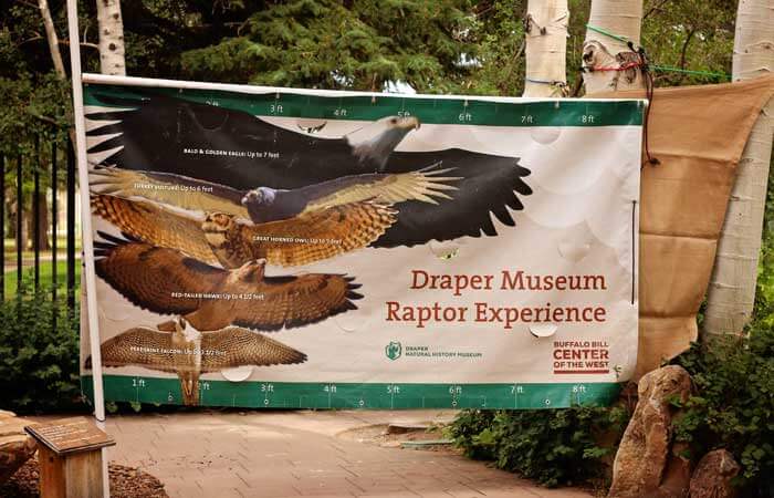 A large signs welcomes visitors to the Draper Museum Raptor Experience at Buffalo Bill Center of the West in Cody, Wyoming