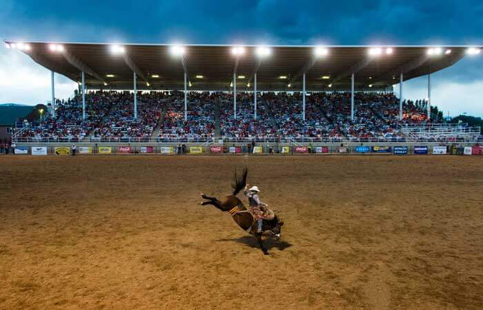 A cowboy rides a bucking bronco in front of a full arena at the Sheridan WYO Rodeo in Sheridan, Wyoming