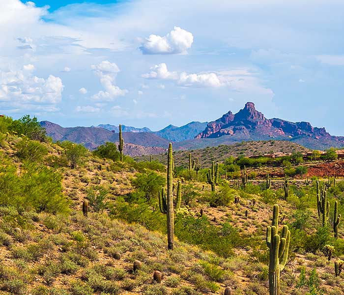 Desert and mountain view in Fountain Hills, Arizona