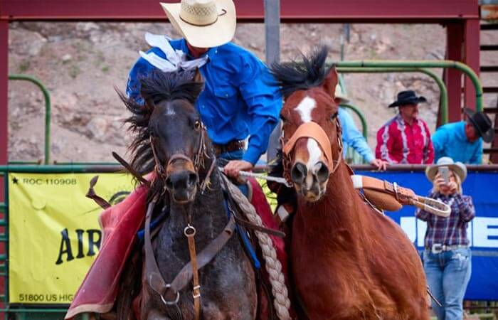 Two horses and a cowboy at Gold Rush Days in Wickenburg, AZ