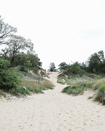 A sandy path surrounded by greenery rises on a sand dune in Indiana Dunes, Indiana