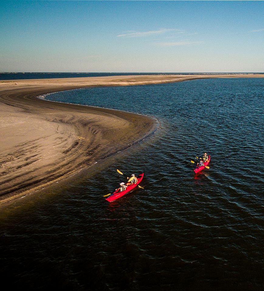 Kayak Amelia and Adventure Kayak Florida offer exciting ecotours along the waterways of Jacksonville, Florida.