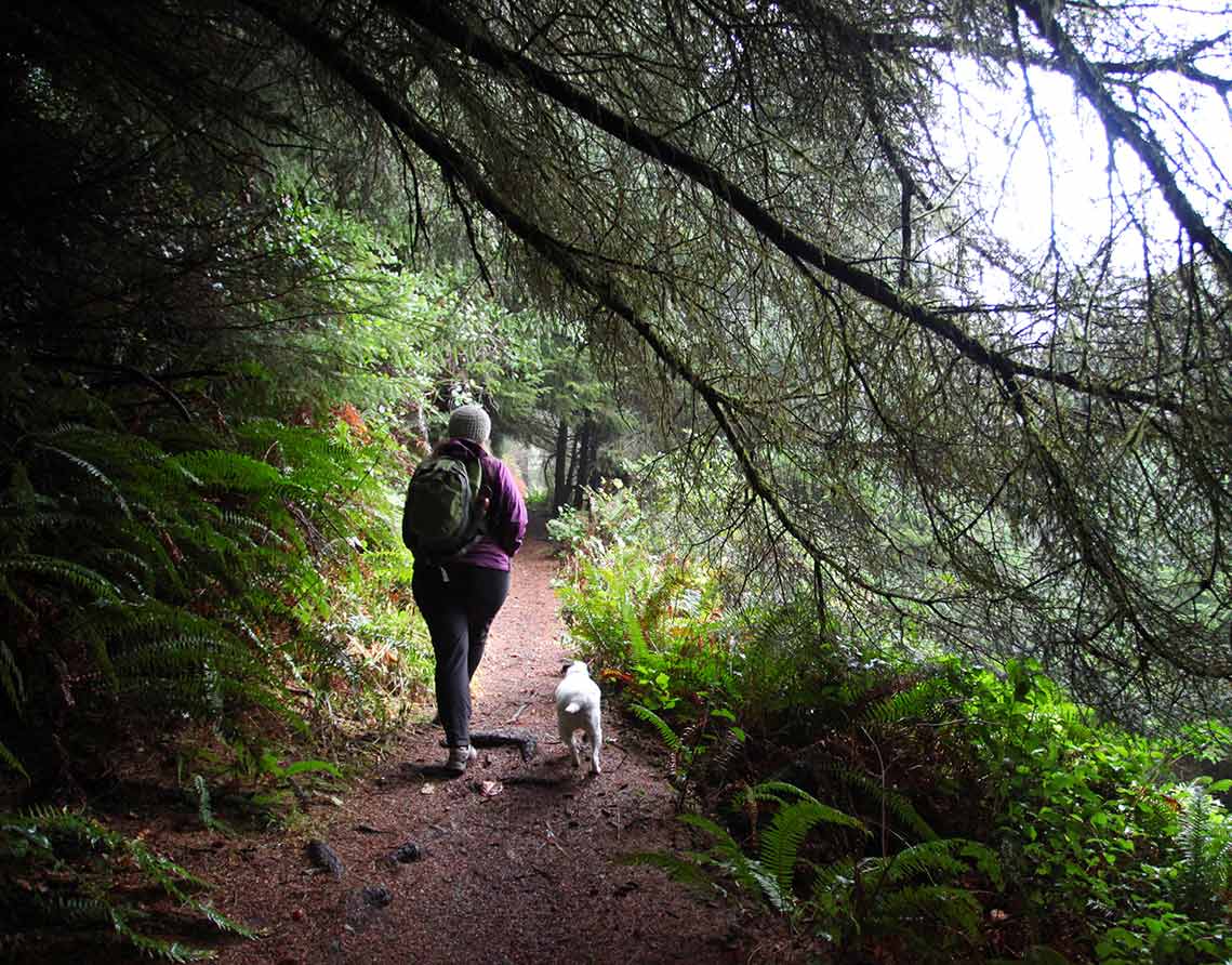 Woman and her dog hiking a Seaside, Oregon trail