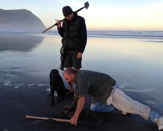 Two men with a dog on the Seaside, Oregon beach digging for razor clams.