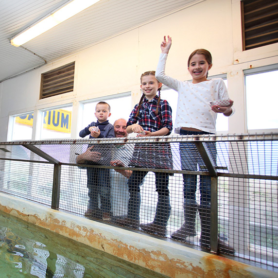 Guests feeding animals at the Seaside Aquarium