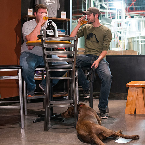 Two men having a drink at Iron Monk with a dog nearby in Stillwater, OK