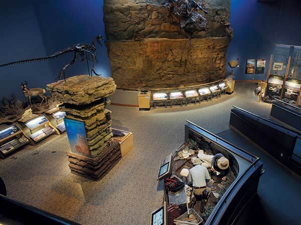 Mounted dinosaur bones at the Draper Natural History Museum in the Buffalo Bill Center of the West in Cody, Wyoming