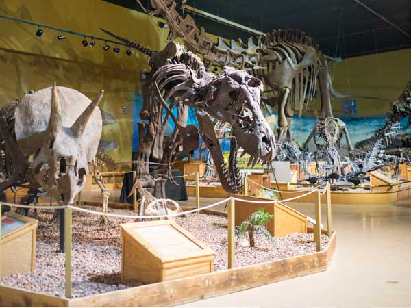 Dinosaur fossil museum at Wyoming Dinosaur Center, Thermopolis