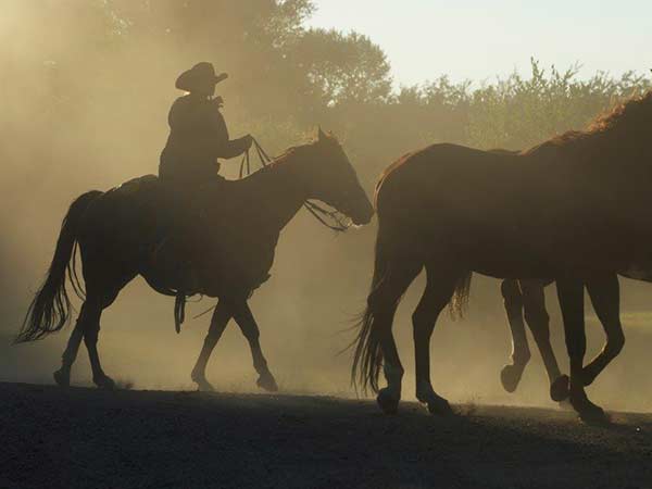 The silhouette of a cowboy riding a horse at a guest dude ranch in Wyoming