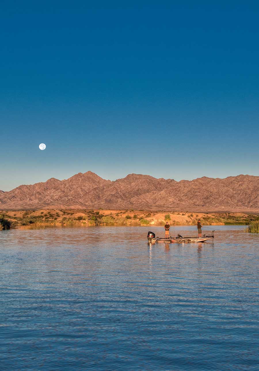 Top 10 Things To Do in Lake Havasu City