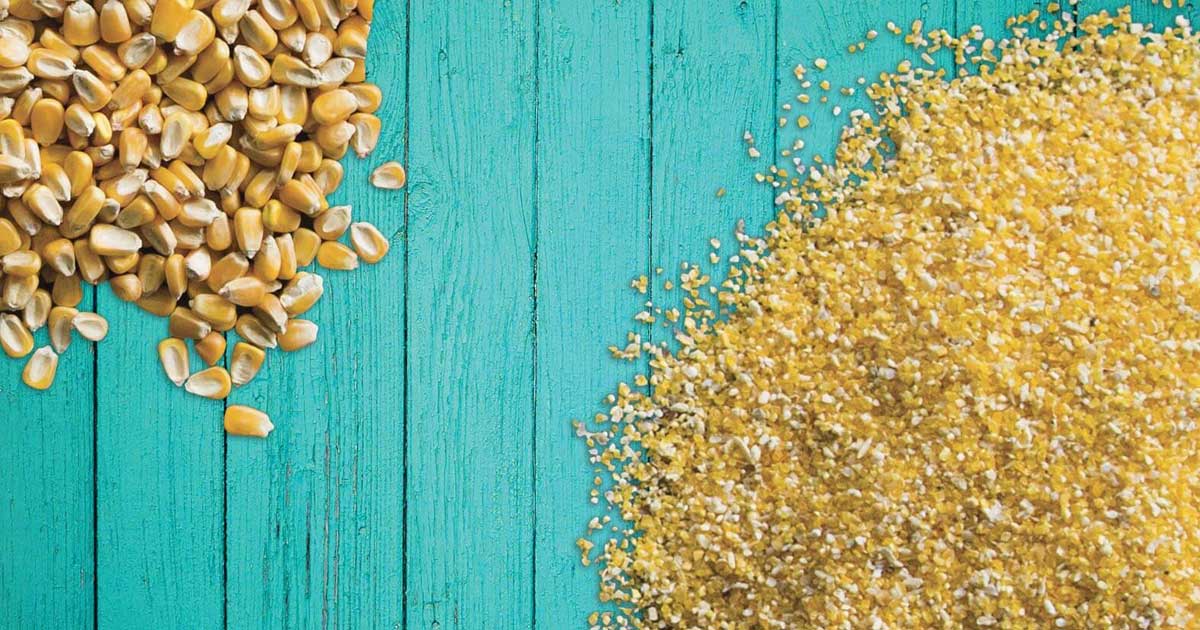 South Carolina grits grinders honor tradition and heritage