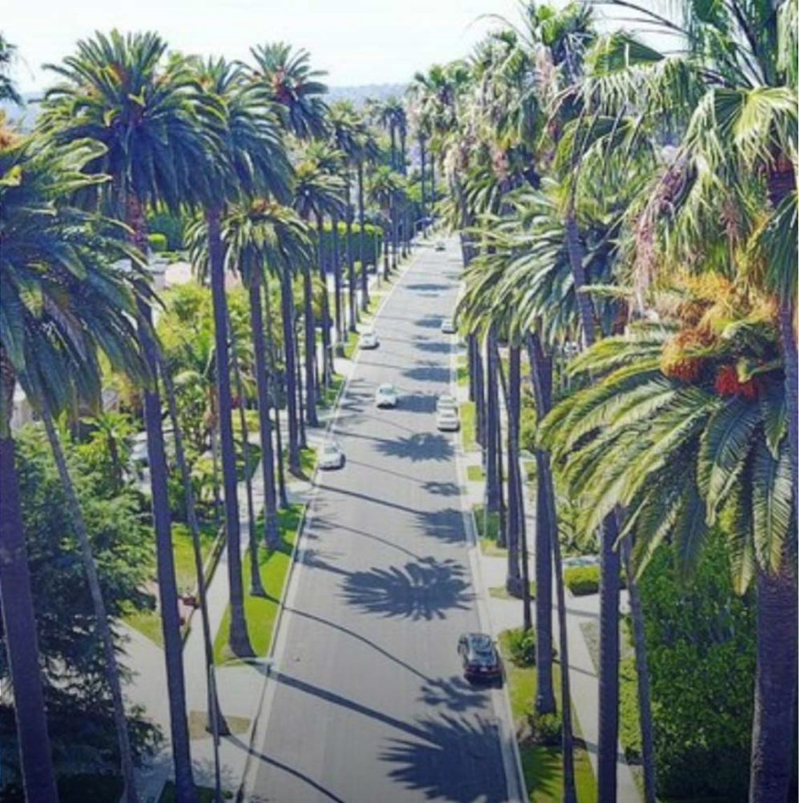 An aerial view of a street in Beverly Hills, CA. Instagram photo by @jennifer.knaeble.