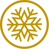 Snowflake icon