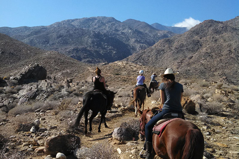 Smoke Tree Stables has been providing horseback adventures at Indian Canyons in Palm Springs, Ca. for nearly a century