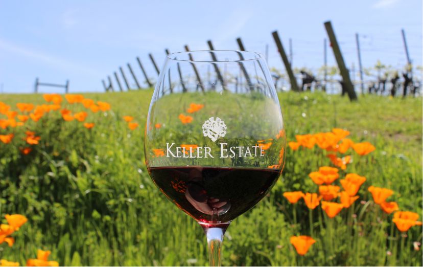 Glass of Keller Estate Pinot Noir sits in the foreground of the California Wild Orange Poppy covered vineyard in the background