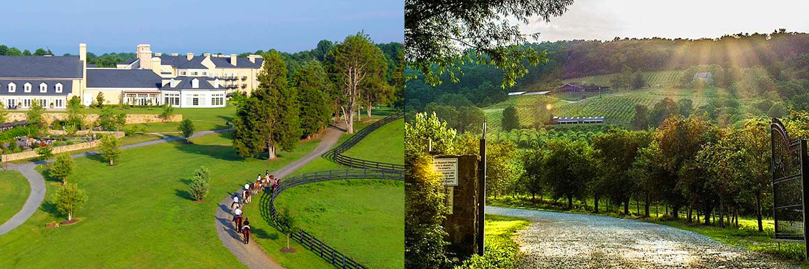  Two photos side by side, on the left a group of guests ride horses along the paved path that has the Salamander Resort & Spa on one side and horse fields on the other. On the right, the entrance to Bluemont Vineyard with trees lining the street toward the vineyard in the distance.