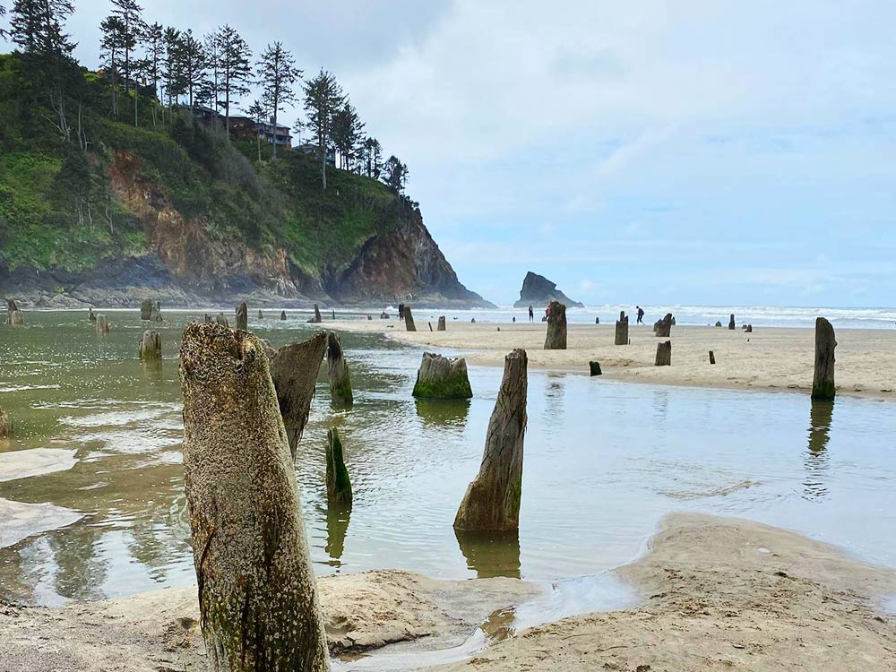 That Oregon Life - Found one! Nelscott Beach in Lincoln City 2.11.18 Photo  by Tony Bologna‎