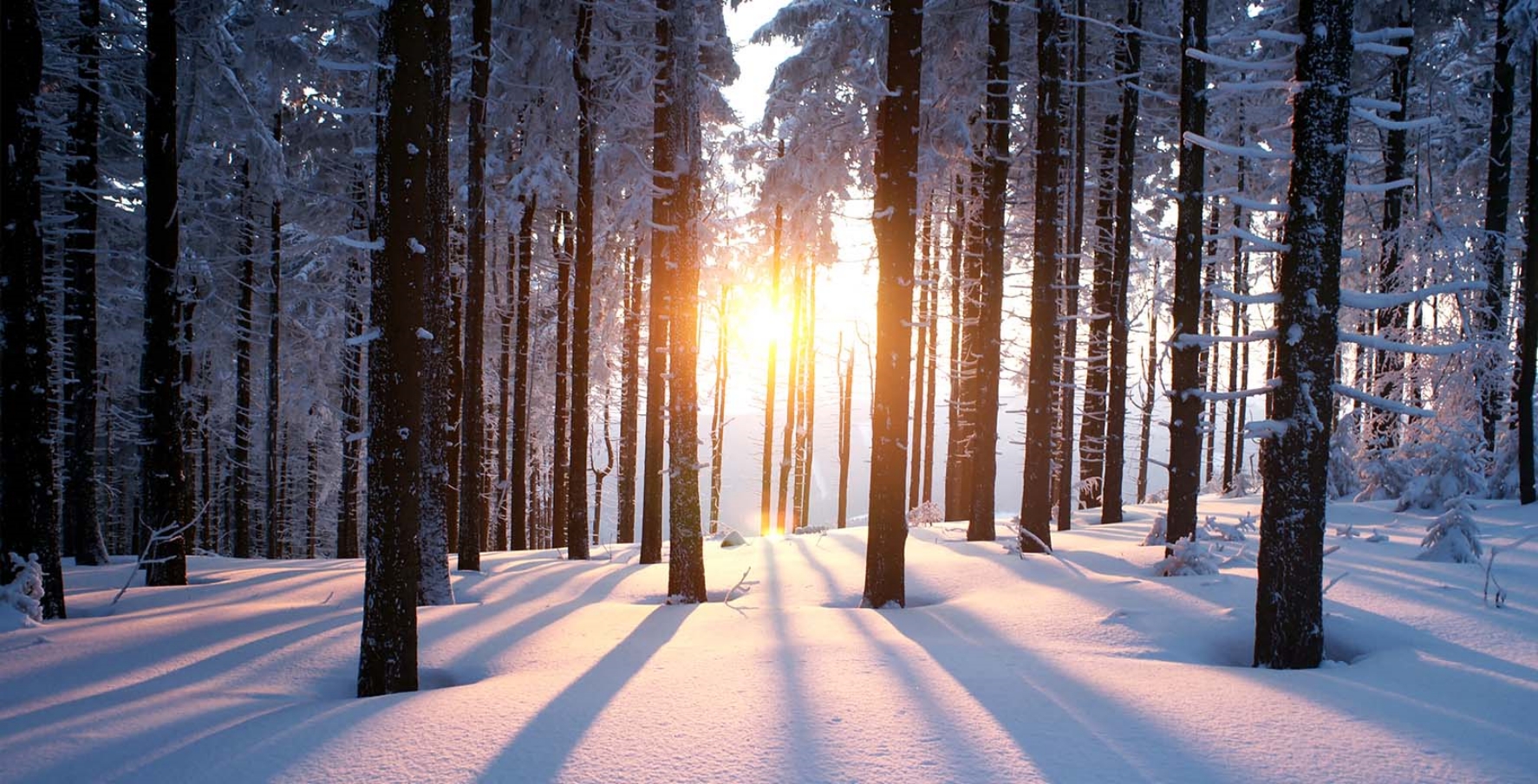 Winter in St. Germain