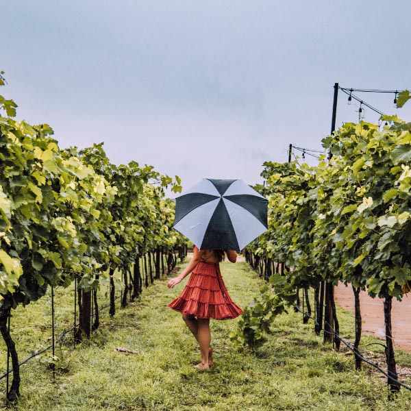 dripping springs camp lucy vineyard