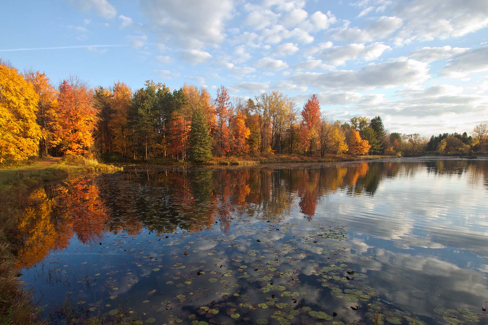 Have it All in St. German this Fall