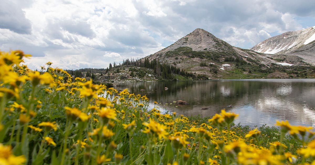 Albany County, Wyoming The Ultimate Weekend Getaway Destination