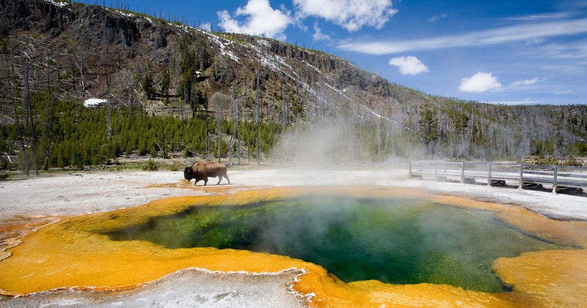 How did the almost 150 year old yellowstone national park become so