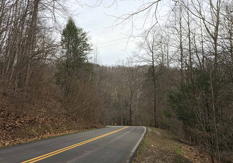 A paved road winds around a leaf-covered hill and bare trees. 