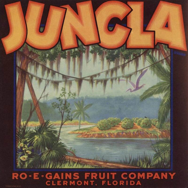An illustrated Jungla brand citrus label with orange letters and a jungle looking landscape.