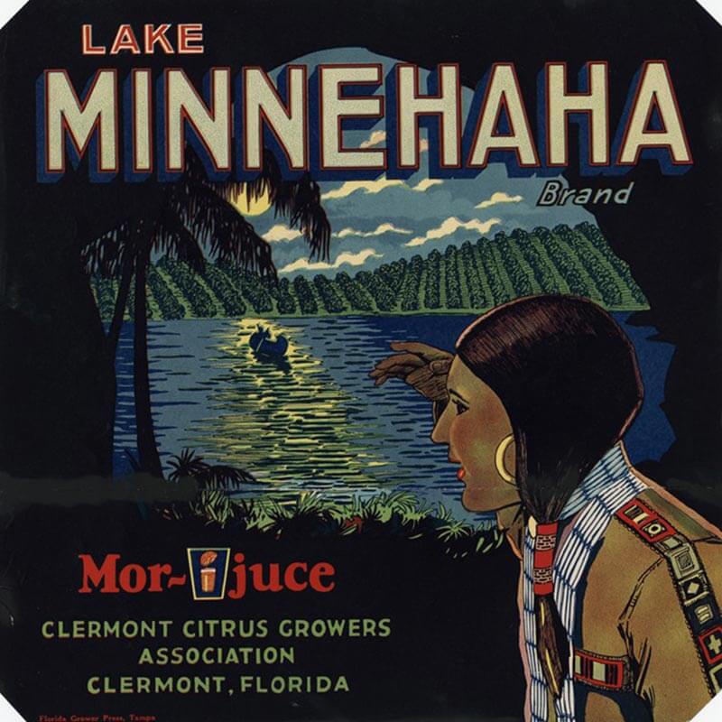 An illustrated Lake Minnehaha brand citrus label is black with a lake and orange groves in the background. A side profile of an Indian woman is in the foreground.