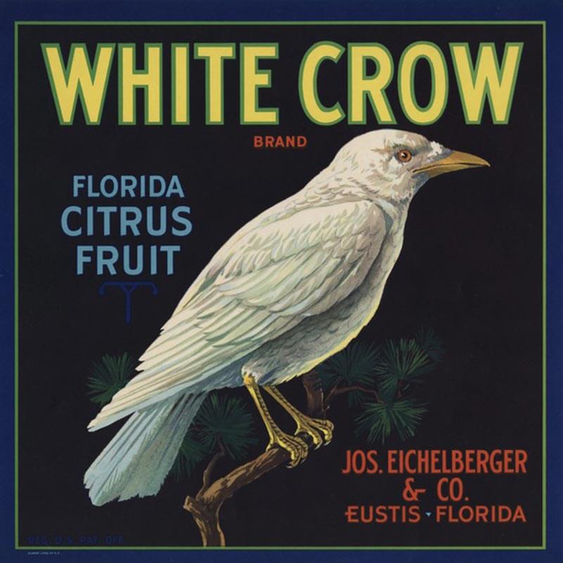 An illustrated White Crow brand citrus label has a black background, yellow letters and a large white crow in the middle.