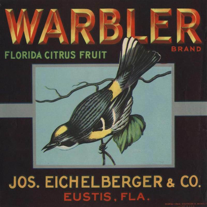 An illustrated Warbler brand citrus label has a black background, red, green and yellow lettering and a black and yellow warbler bird in the center.