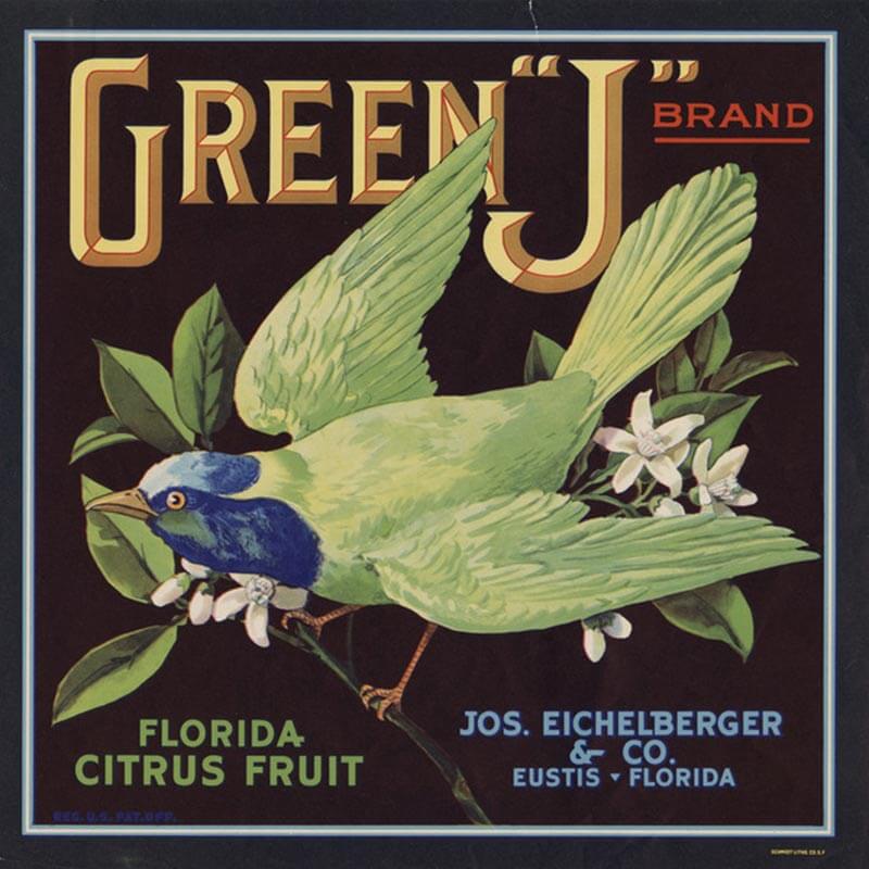 An illustrated Green J brand citrus label has a black background, yellowing lettering and a large green jay bird in the center.