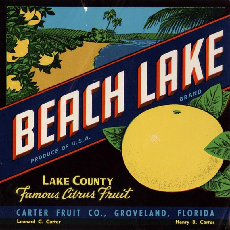 An illustrated Beach Lake brand citrus label has white letters, a large orange in foreground and a sandy beach shoreline against an orange grove.