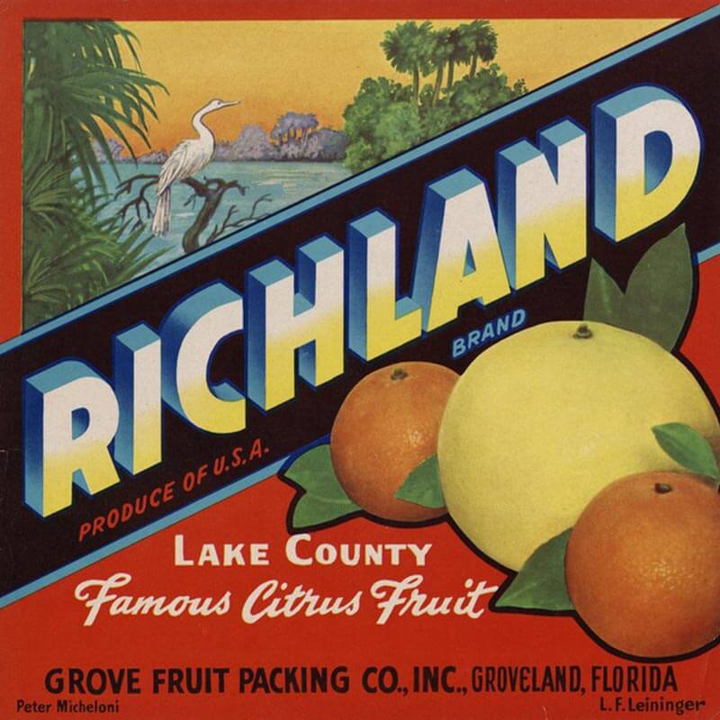 An illustrated Richland brand citrus label has large oranges in the foreground with a lake scene in the background.