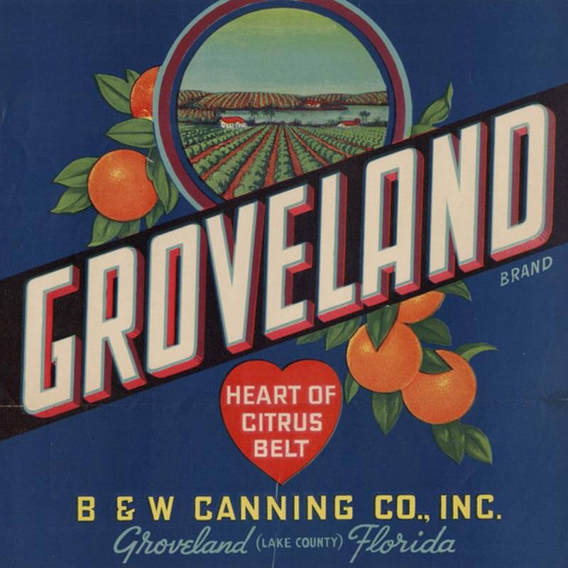 An illustrated Groveland brand citrus label has white letters and a blue background with an orange broach, orange groves and a heart in foreground.