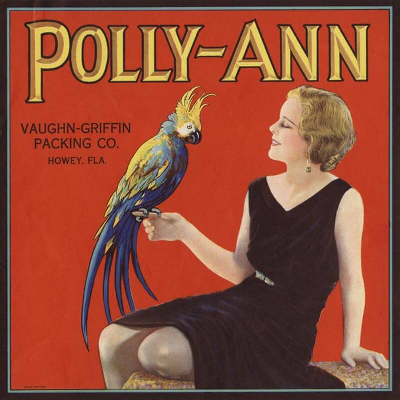 An illustrated Polly-Ann brand citrus label has a red background and gold lettering. A blonde woman is seated, wearing a black dress and holding a blue and yellow parrot in her hand.