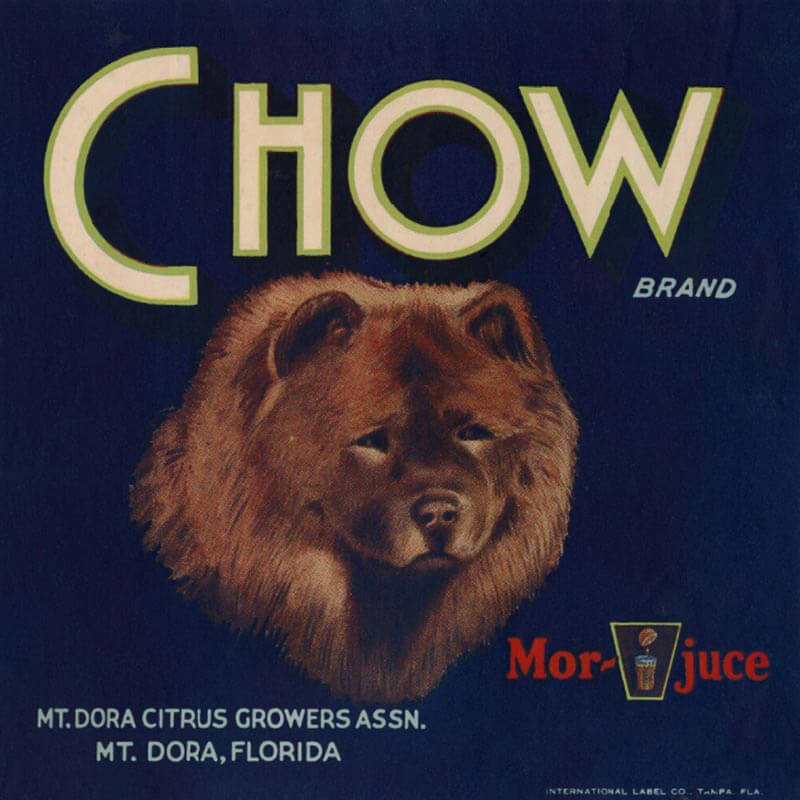 An illustrated Chow brand citrus label is blue with cream colored letters. A red chow dog is centered on the label.