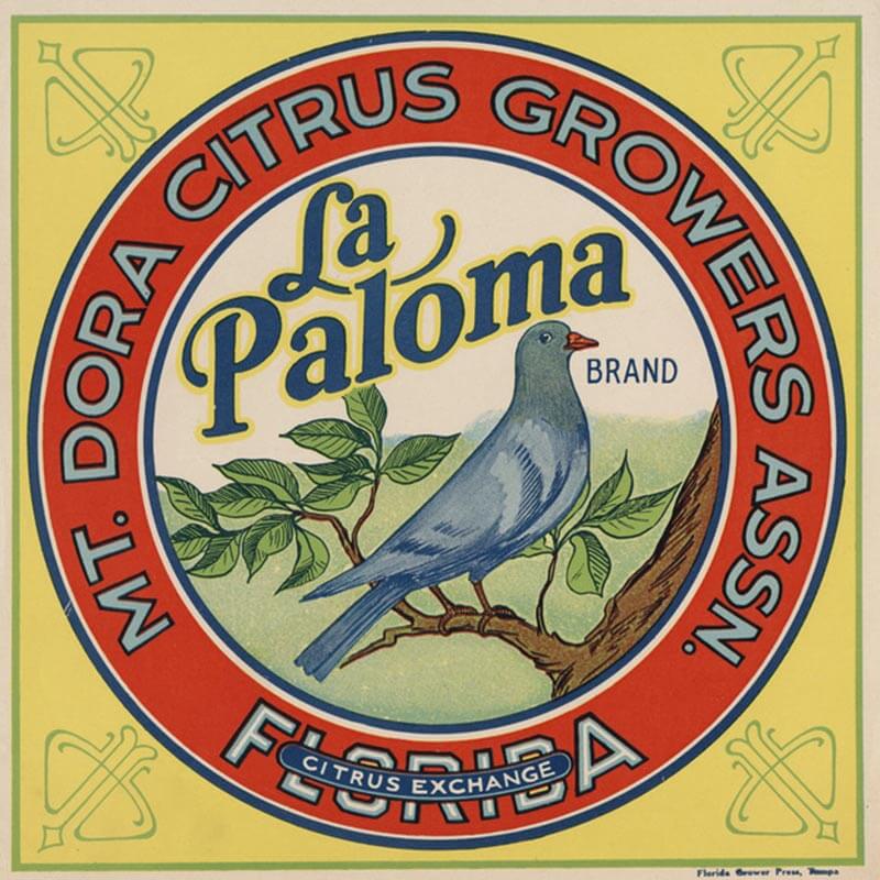 An illustrated La Paloma brand citrus label is yellow with a large red circle encapsulating blue letter brand name and a blue colored bird on a branch.