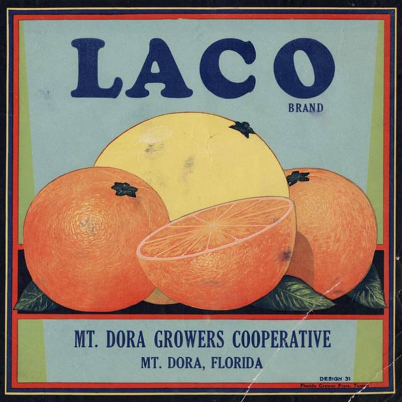 An illustrated Laco brand citrus label is light blue with dark blue lettering. Large, orange and yellow oranges are on display.