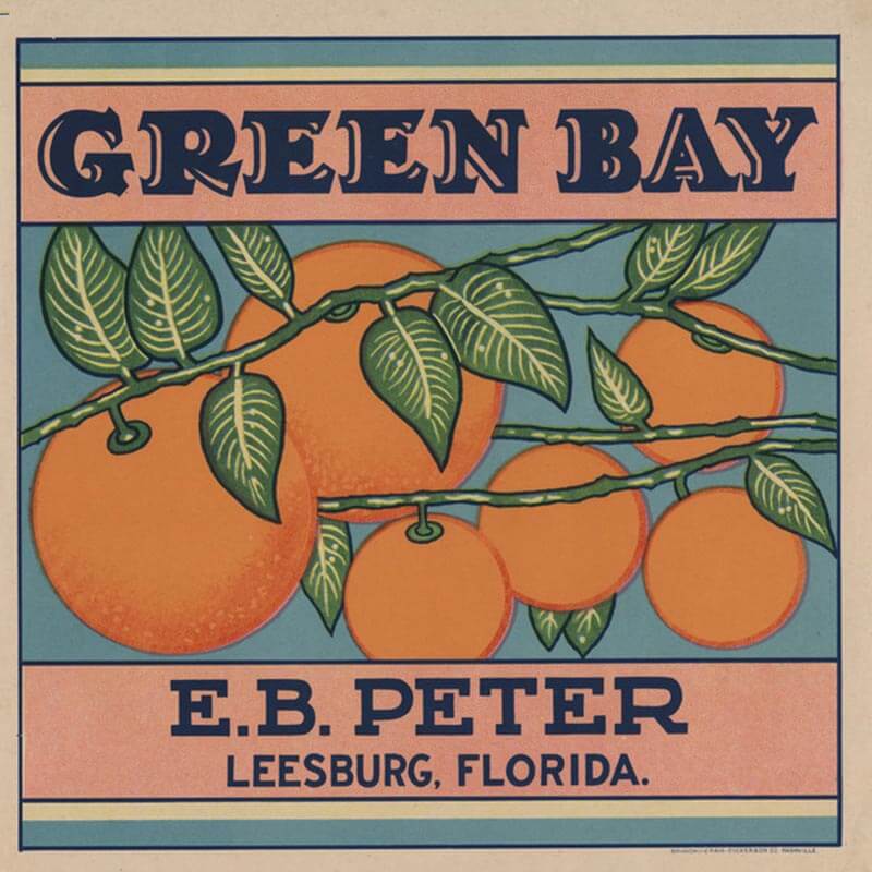 An illustrated Green Bay brand citrus label is light blue and pink with large blue lettering and an upclose orange tree branch with six, ripe oranges on it.