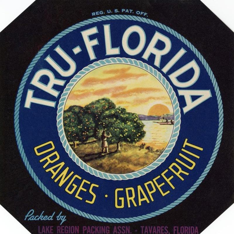 An illustrated Tru Florida brand citrus label is a blue circle over a black, square background. The outer circle has cream and yellow lettering, and the center is a drawing of a girl picking from an orange tree.