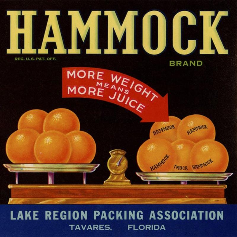 An illustrated Hammock brand citrus label is black with large, yellow lettering. A scale with two plates of oranges on either side is centered.