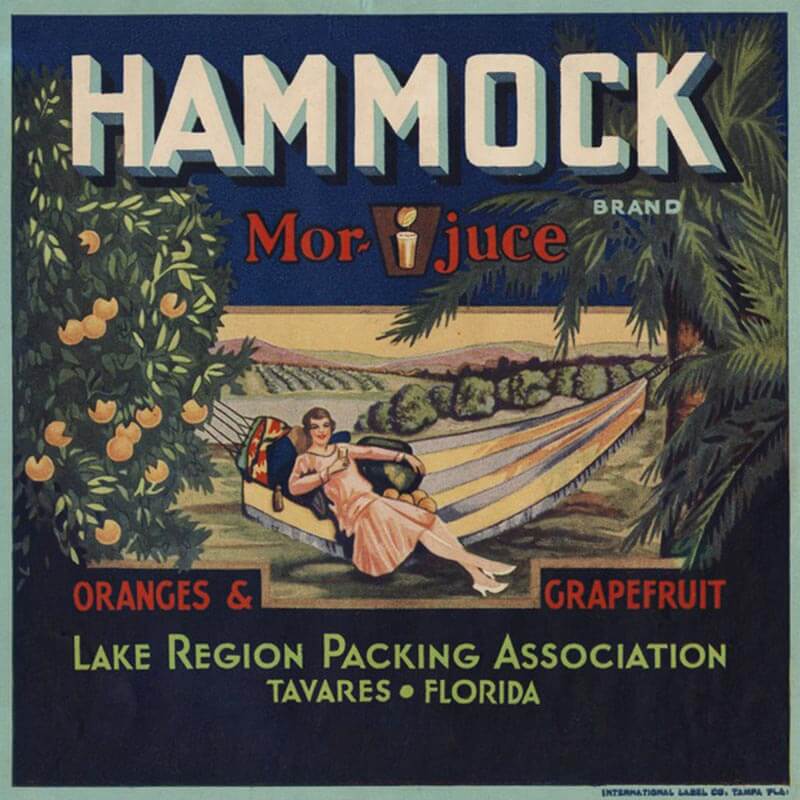 An illustrated Hammock brand citrus label has a woman laying in a hammock surrounded by orange trees. White and red letters cover the remaining blue background.
